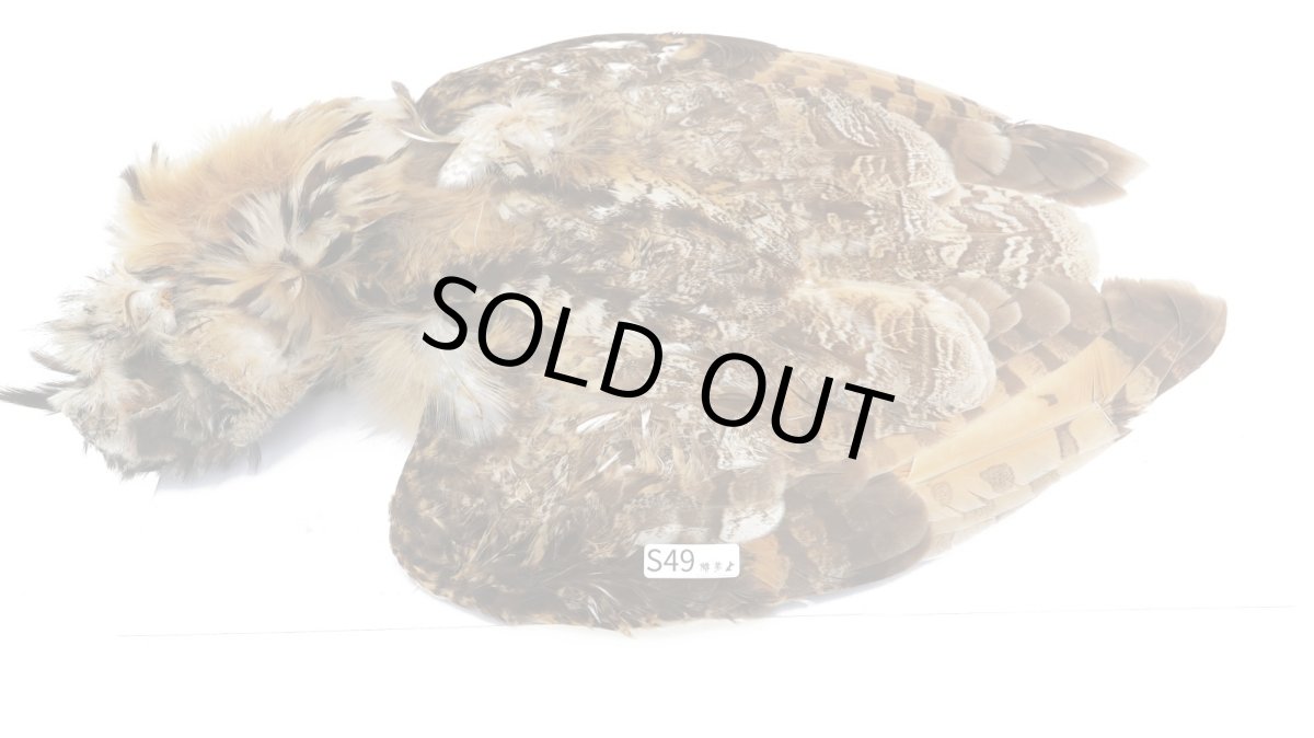 画像2: CANAL  キャナル アウルコンプリート (2)