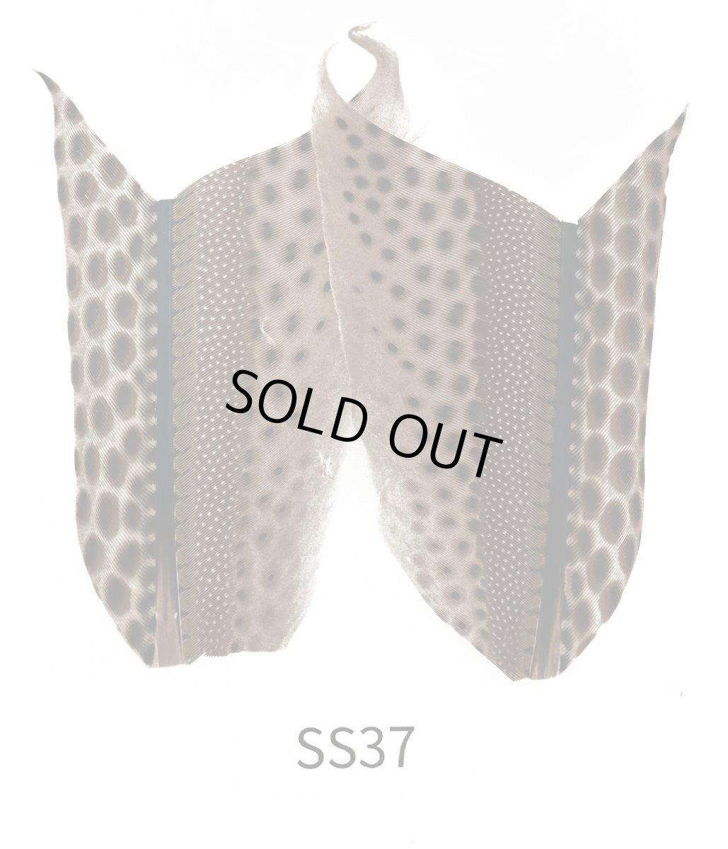 画像4: CANAL  キャナル アーガス 2 (4)