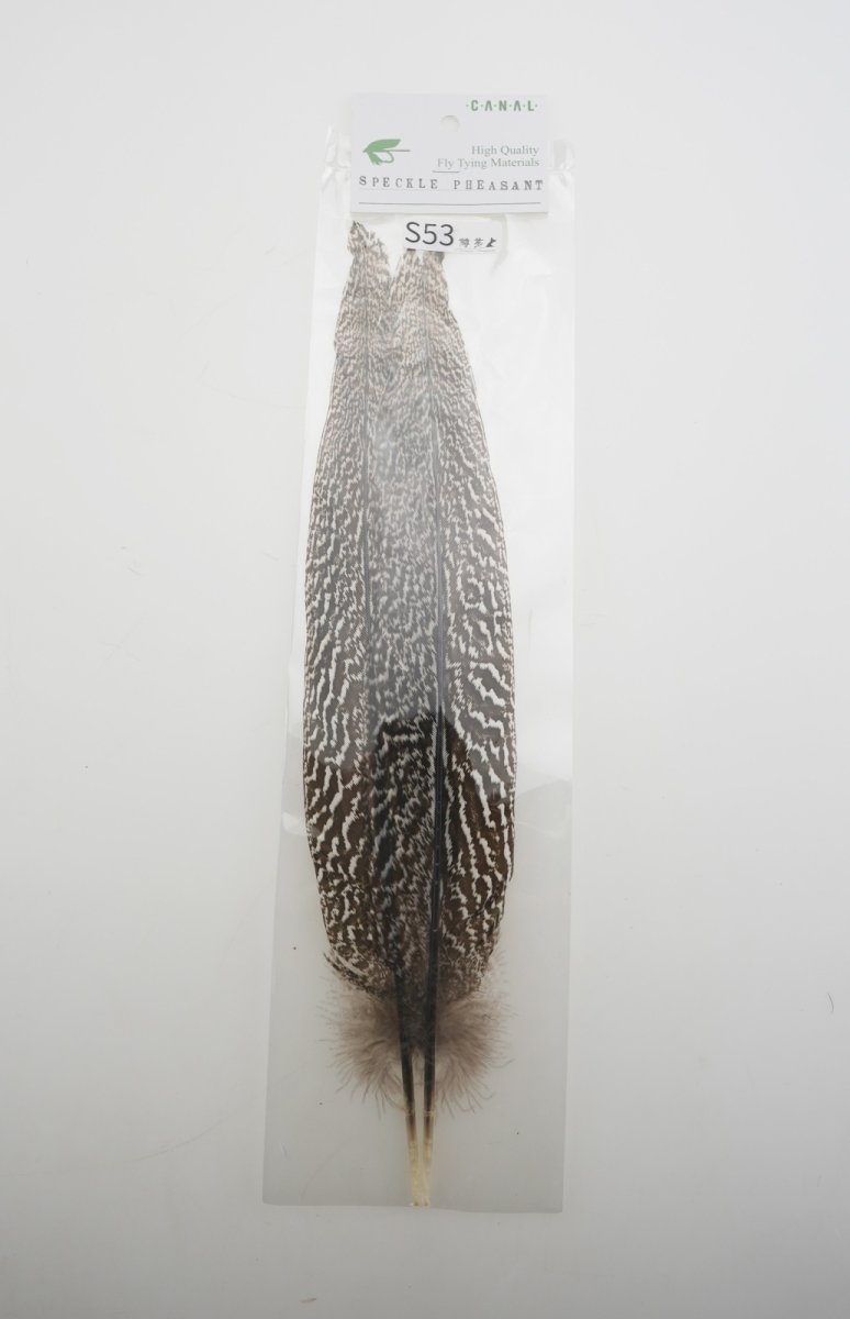 画像4: CANAL  キャナル スペックルドフェザント S53 S72 S35 (4)