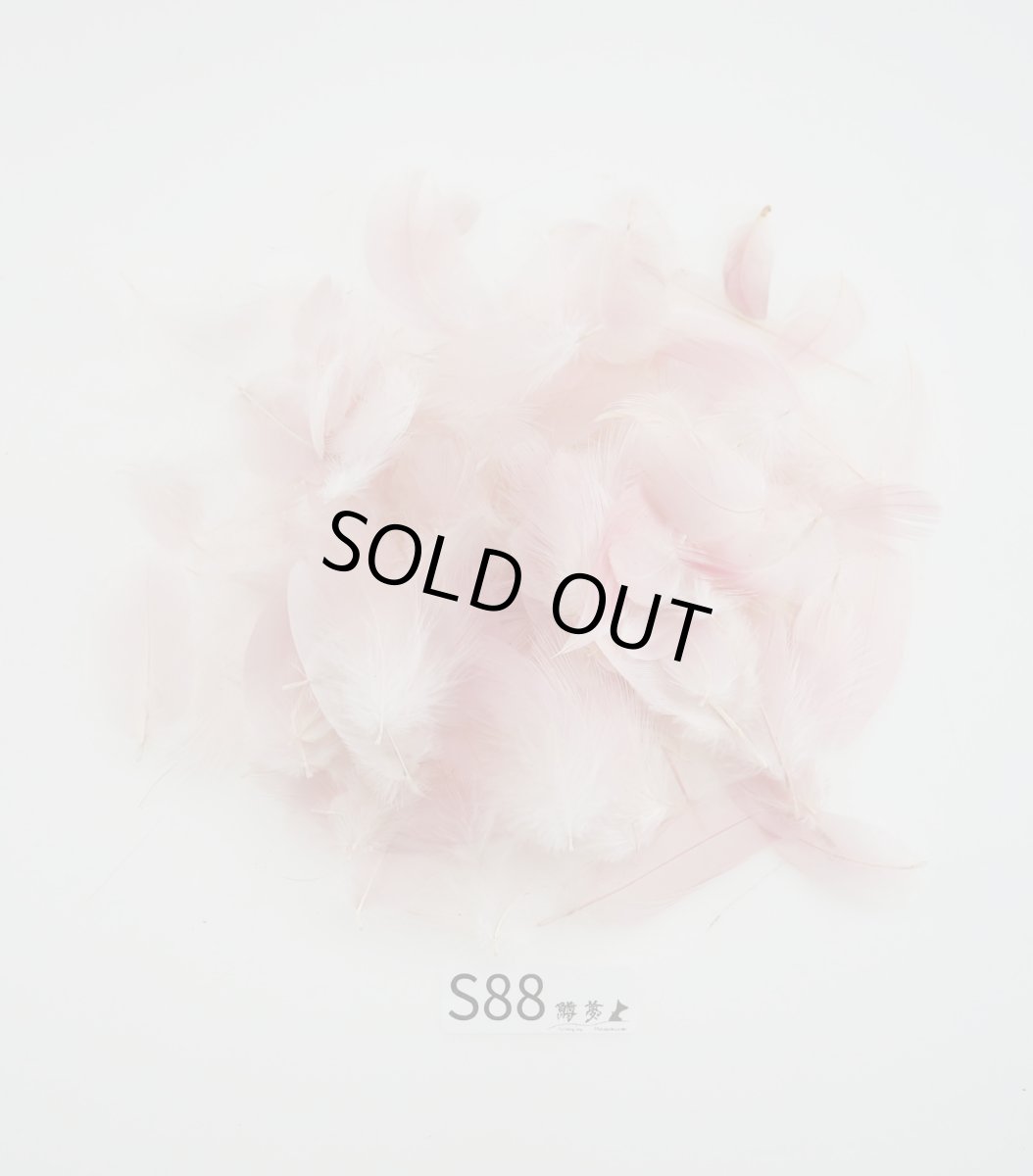 画像4: CANAL  キャナル スプーンビル バルクパック (4)