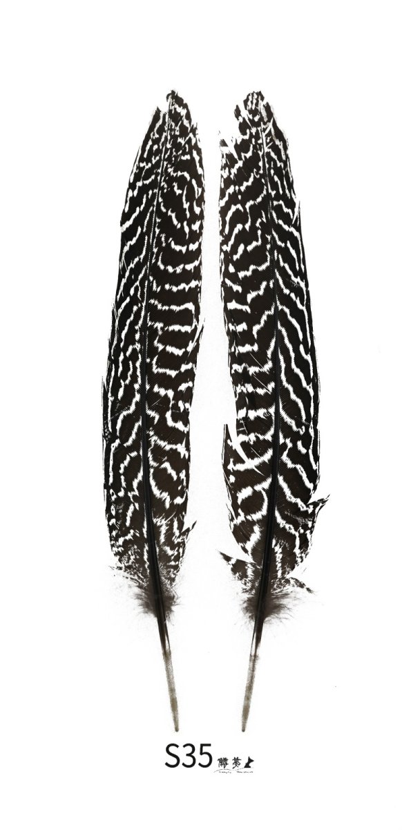 画像3: CANAL  キャナル スペックルドフェザント S53 S72 S35 (3)