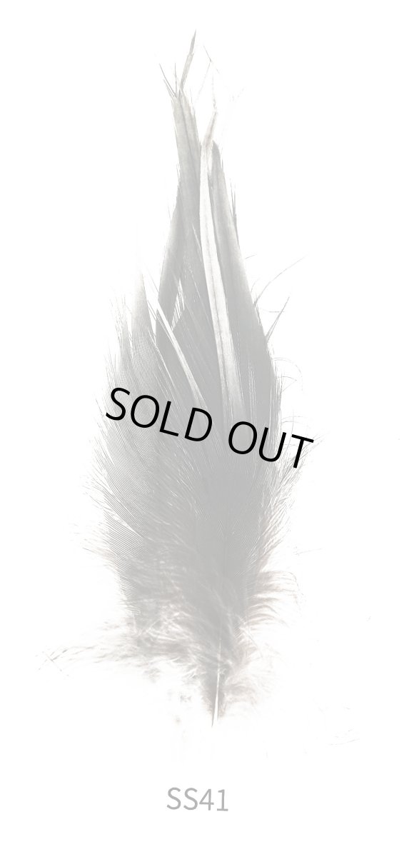 画像2: CANAL  キャナル ポンドヘロン (2)