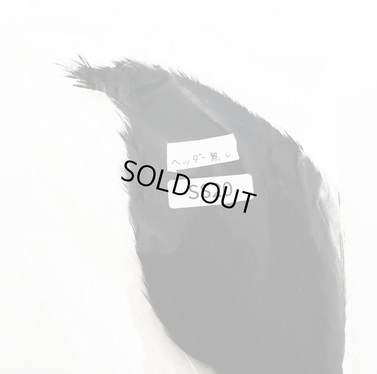 画像2: CANAL  キャナル チャイニーズケープS (2)