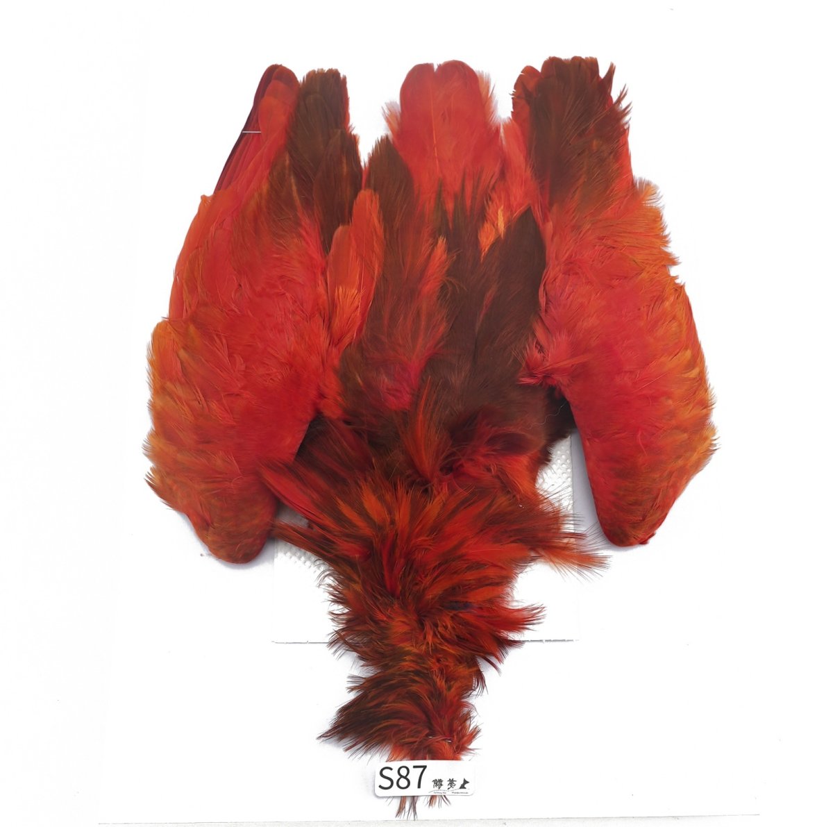 画像2: CANAL　キャナル　スカーレットアイビス　SUB　　SCARLET IBIS　SUB (2)