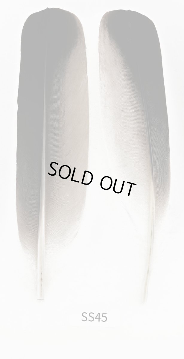 画像3: CANAL  キャナル クレーンクイル (3)