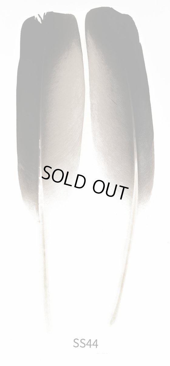 画像2: CANAL  キャナル クレーンクイル (2)