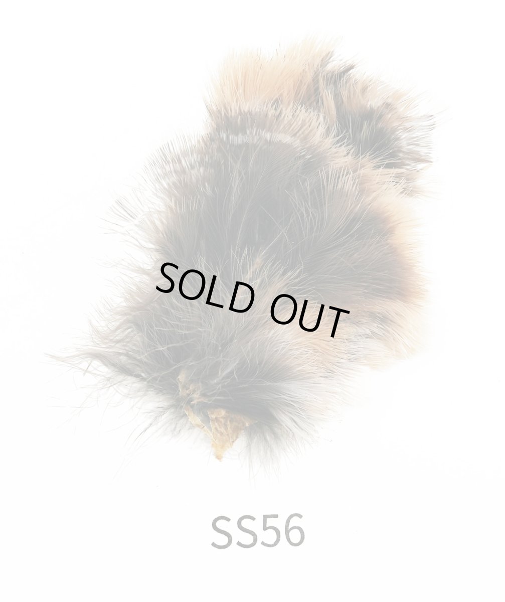 画像5: CANAL  キャナル ウォーターレイル ソフトハックル (5)