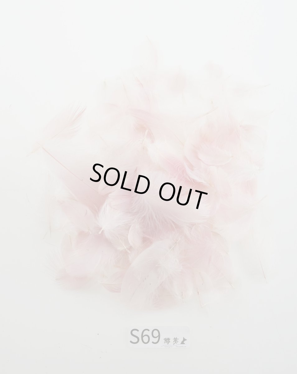 画像3: CANAL  キャナル スプーンビル バルクパック (3)