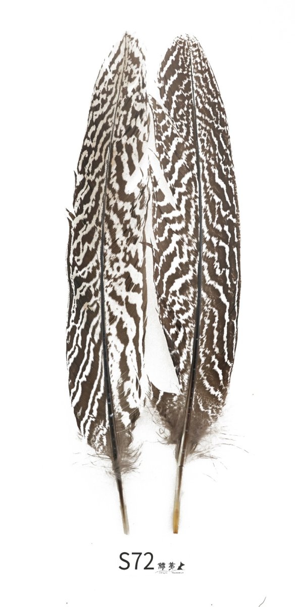 画像2: CANAL  キャナル スペックルドフェザント S53 S72 S35 (2)