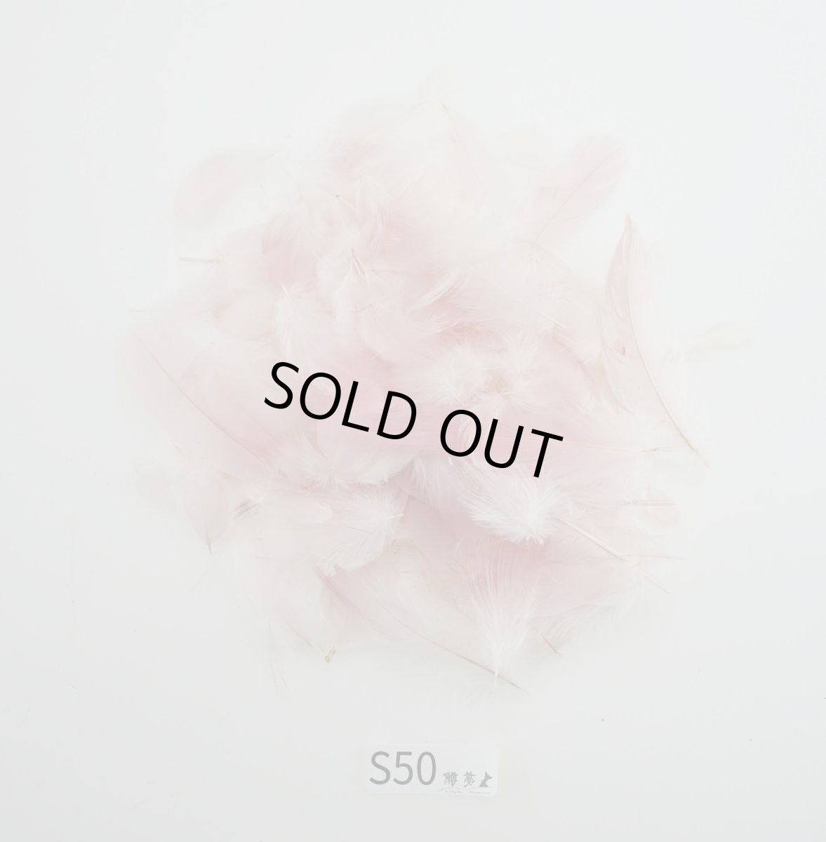 画像2: CANAL  キャナル スプーンビル バルクパック (2)