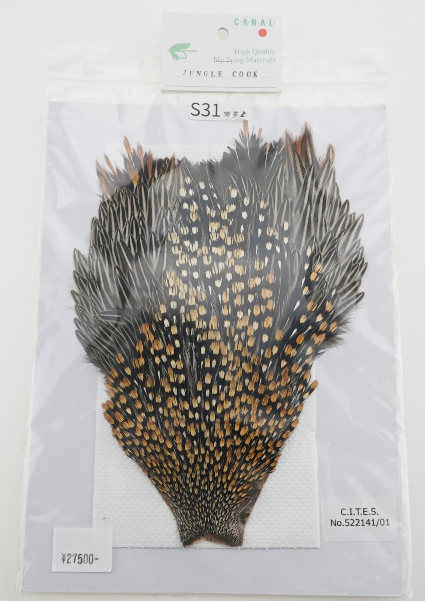 画像2: CANAL  キャナル ジャングルコック S31 (2)