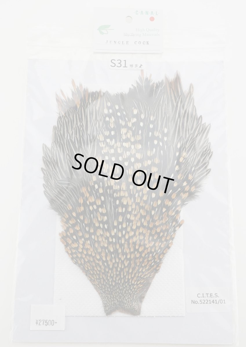 画像2: CANAL  キャナル　ジャングルコック　S31 (2)