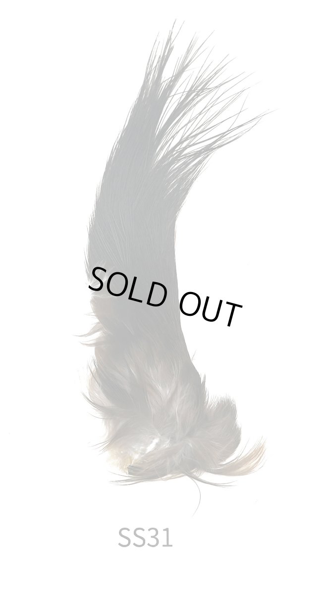 画像2: CANAL  キャナル ブラックヘロン パッチ (2)