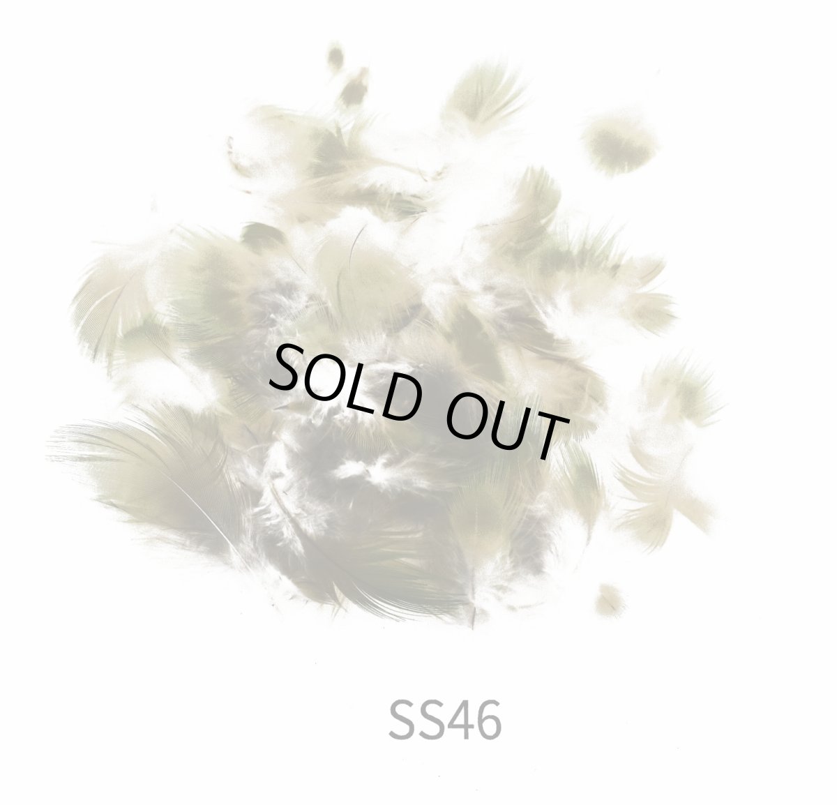 画像2: CANAL  キャナル パラキートハックル (2)