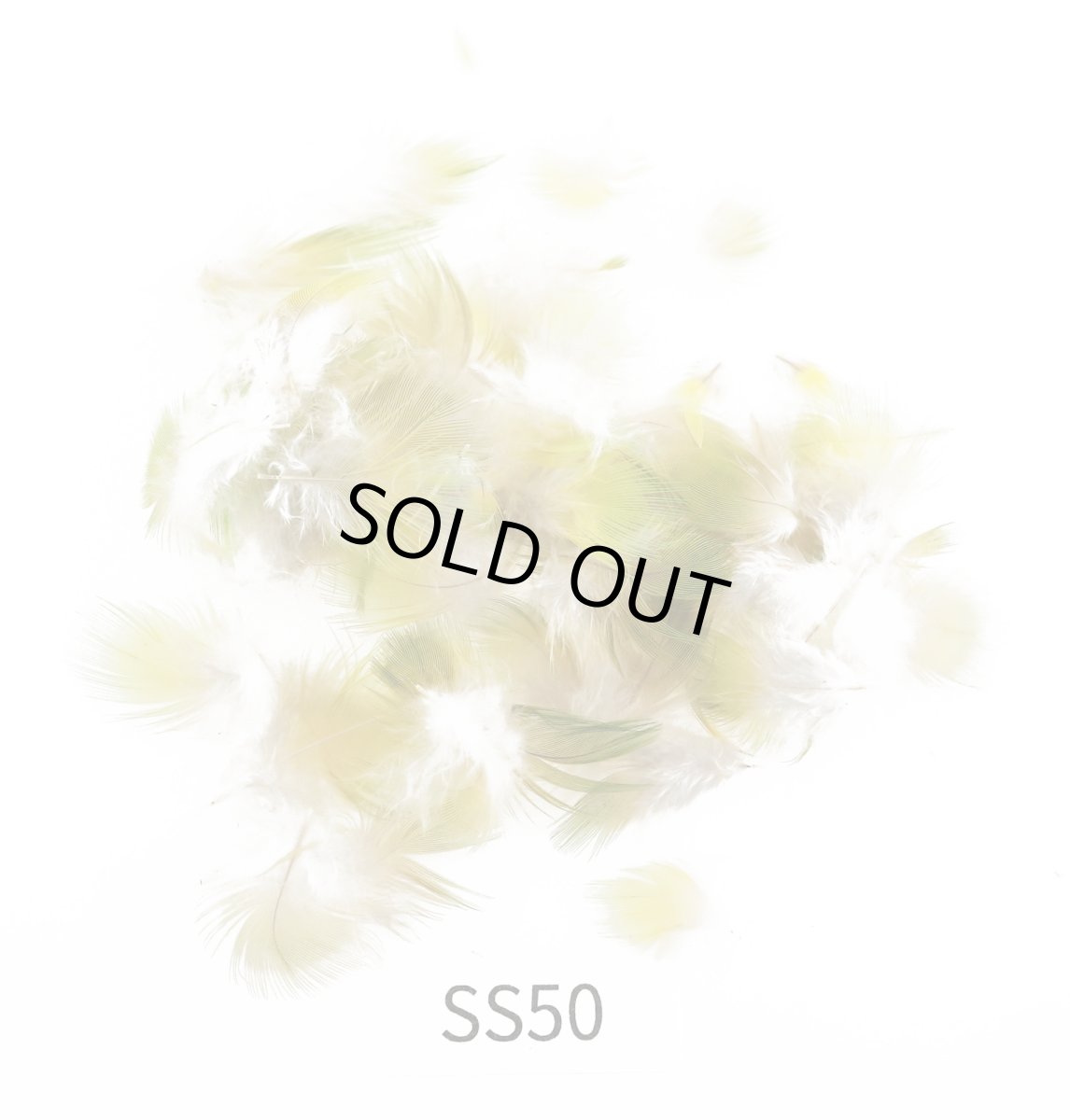 画像6: CANAL  キャナル パラキートハックル (6)