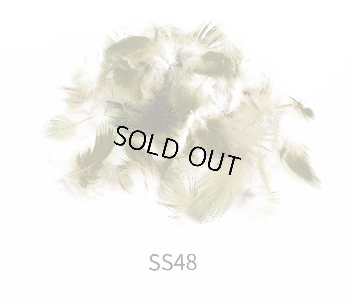 画像4: CANAL  キャナル パラキートハックル (4)