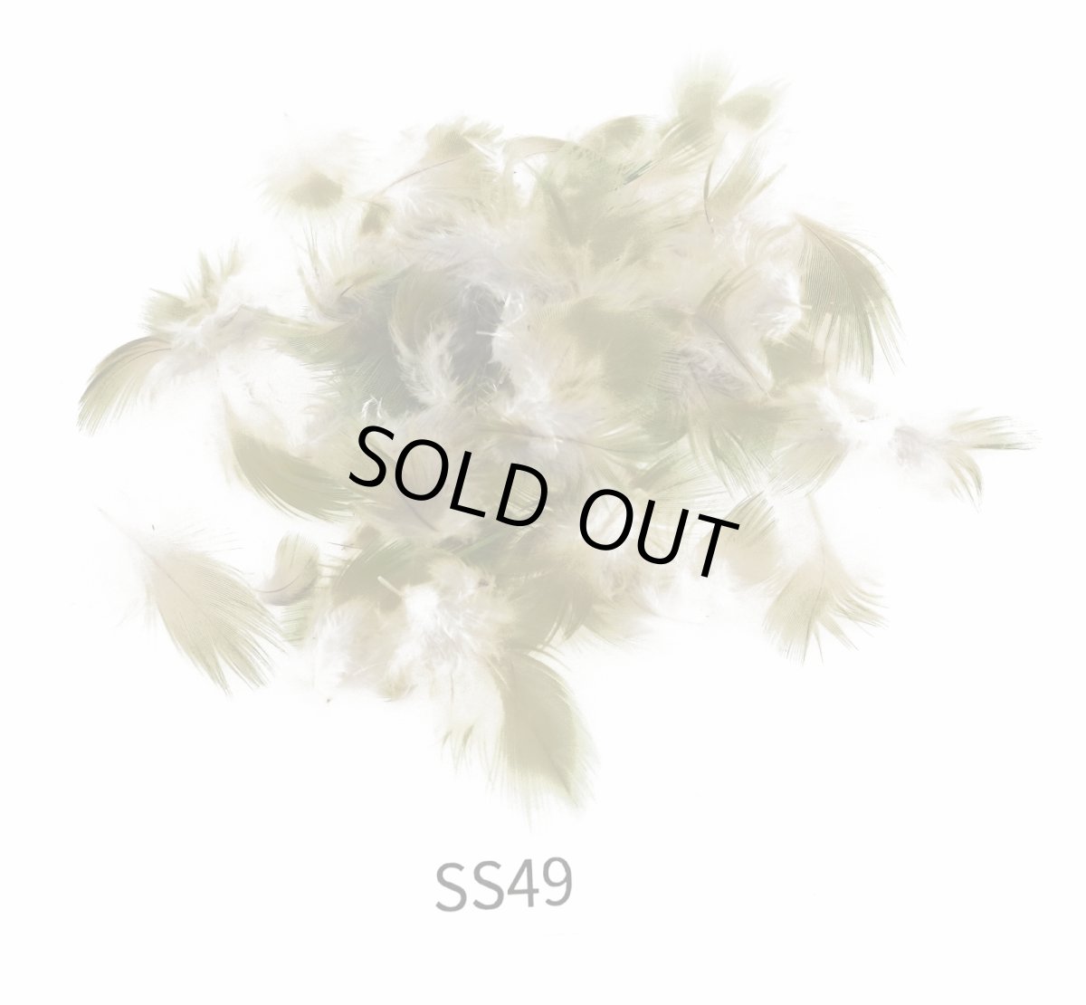 画像5: CANAL  キャナル パラキートハックル (5)