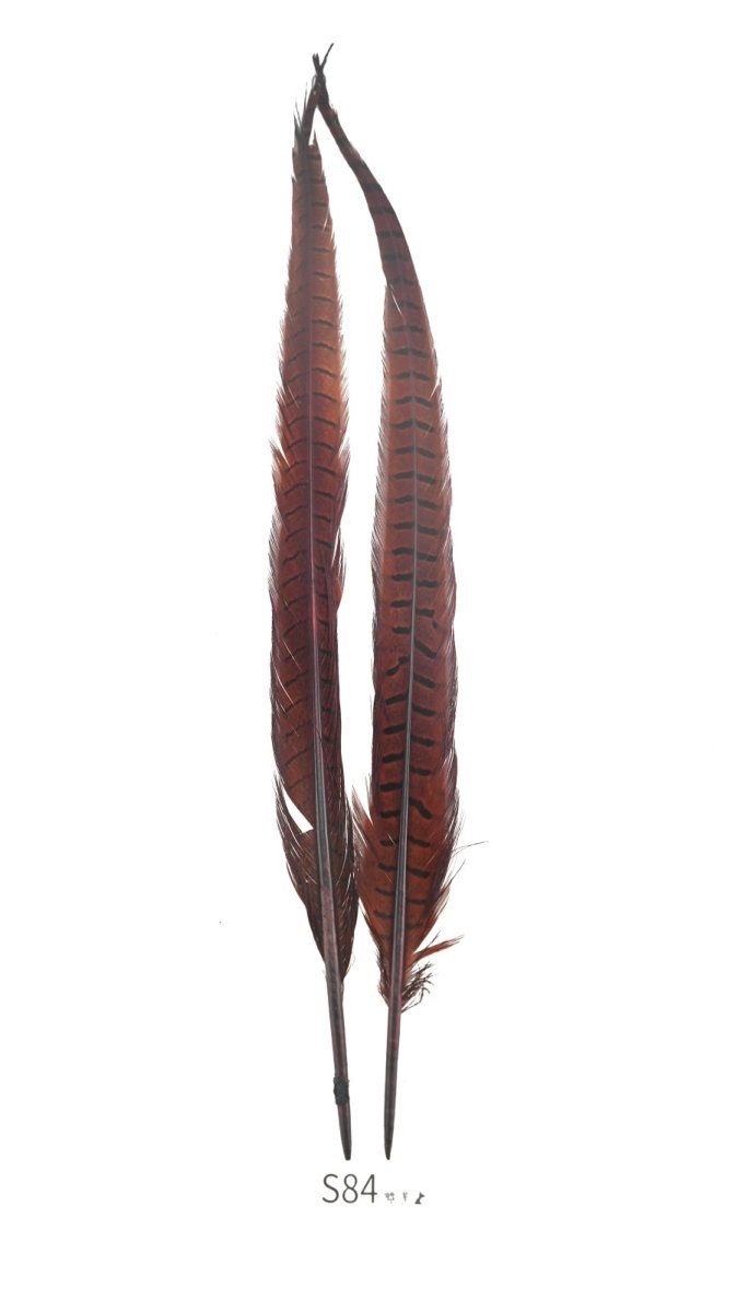 画像4: CANAL   キャナル フェザントテール Pheasant Tail (4)