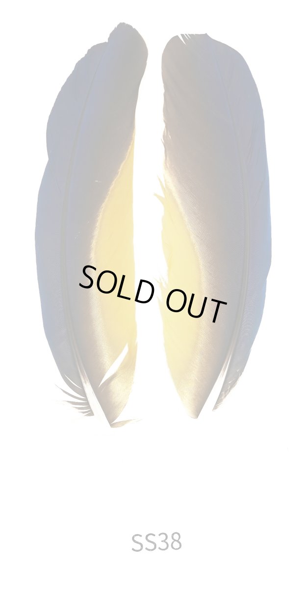 画像1: CANAL  キャナル　マコウクイル (1)