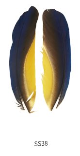 CANAL キャナル パープルスワンヘン Pirple Swanphen - 鱒夢