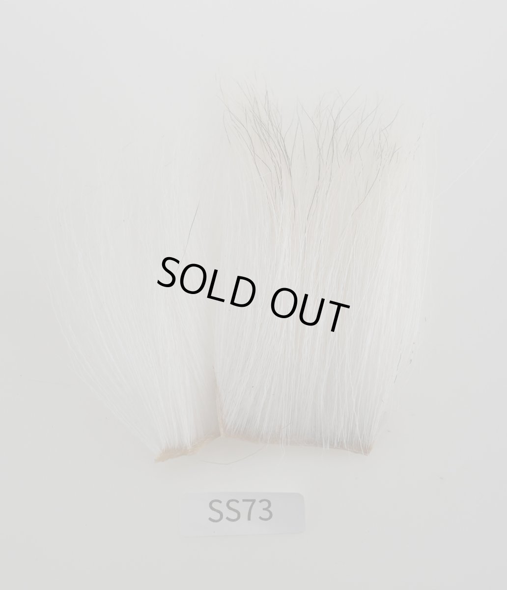 画像3: CANAL  キャナル　エゾディア　ベリー (3)