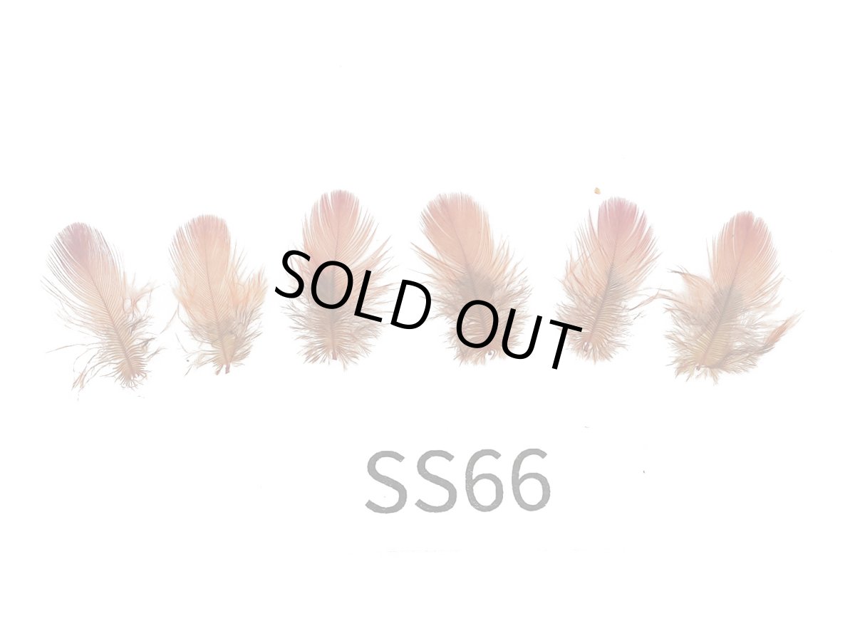 画像2: CANAL  キャナル インディアンクロウ SUB (2)