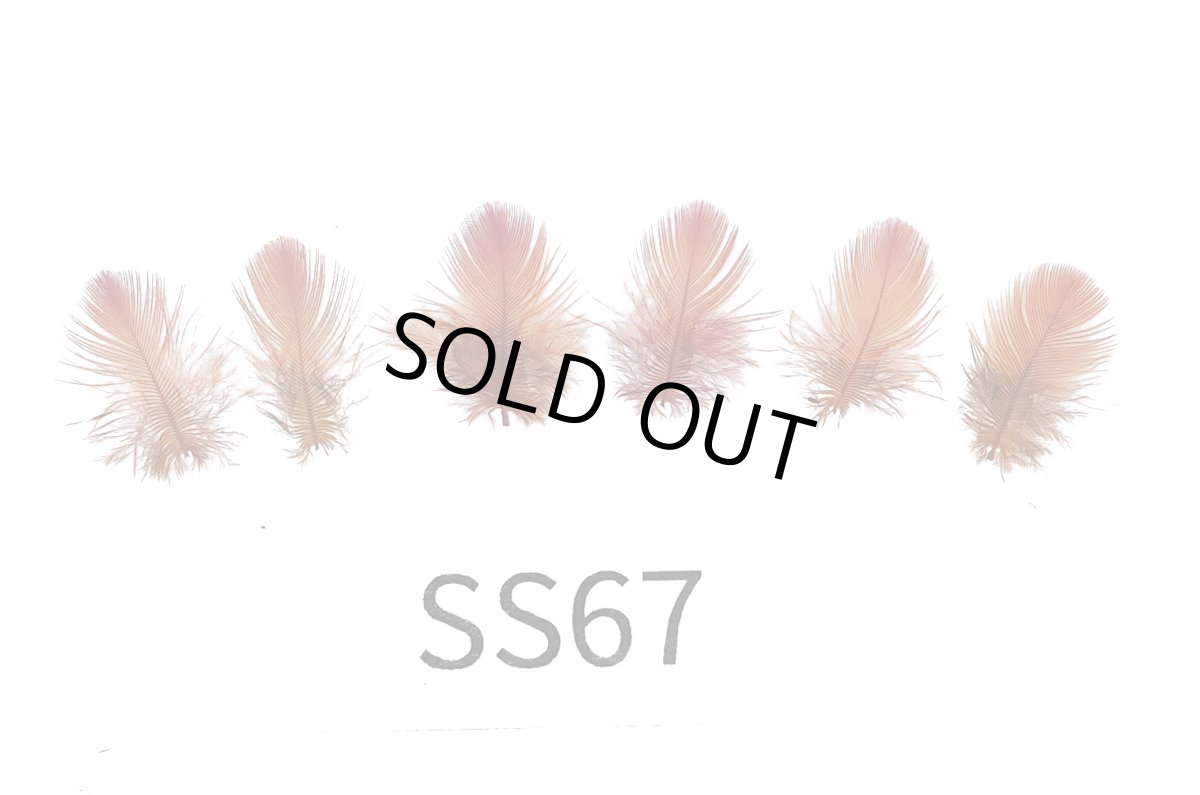 画像3: CANAL  キャナル インディアンクロウ SUB (3)