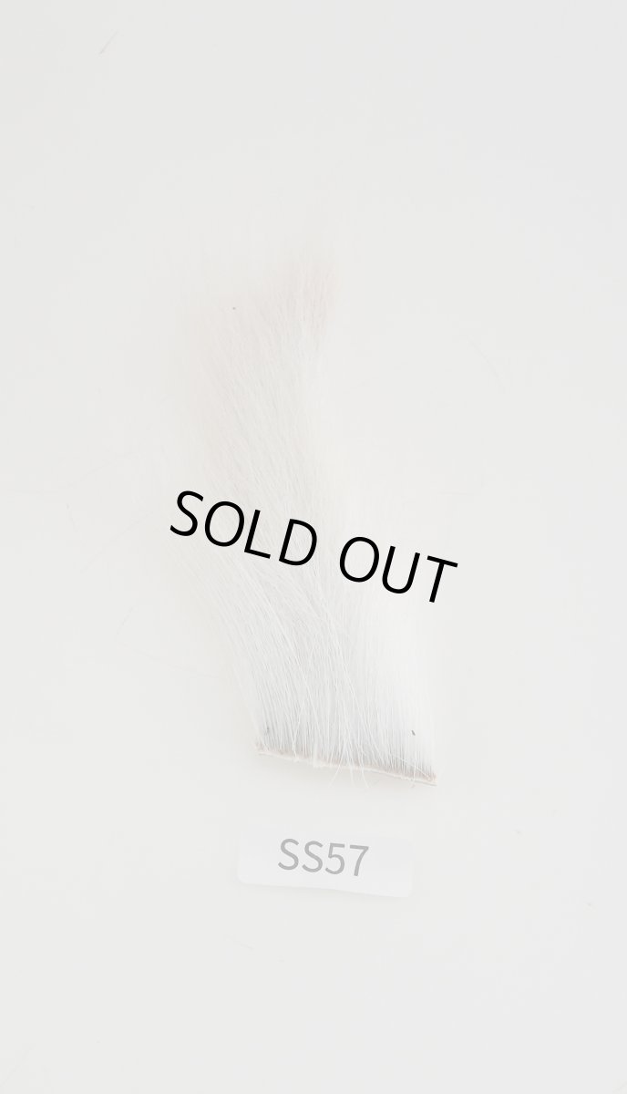 画像1: CANAL  キャナル　エゾディア　ベリー (1)