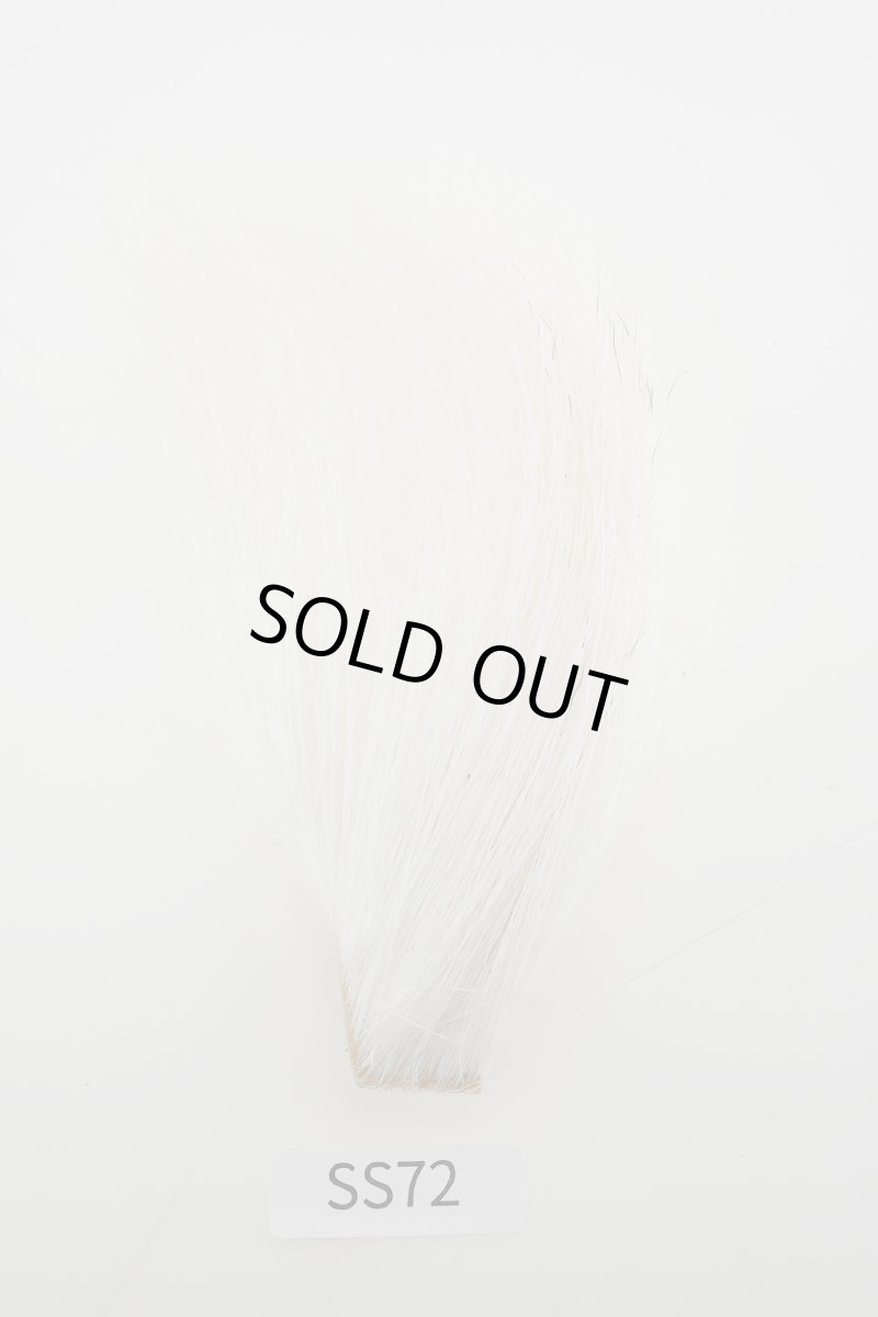 画像2: CANAL  キャナル　エゾディア　ベリー (2)