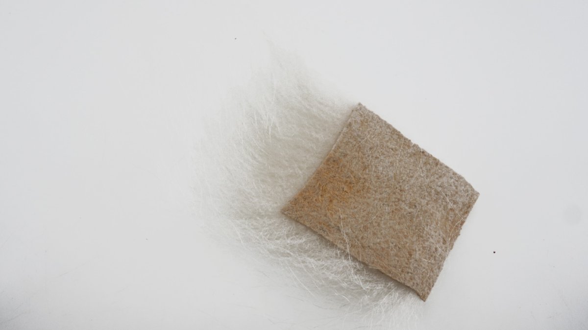 画像12: CANAL  キャナル ポーラベア 各色 (12)