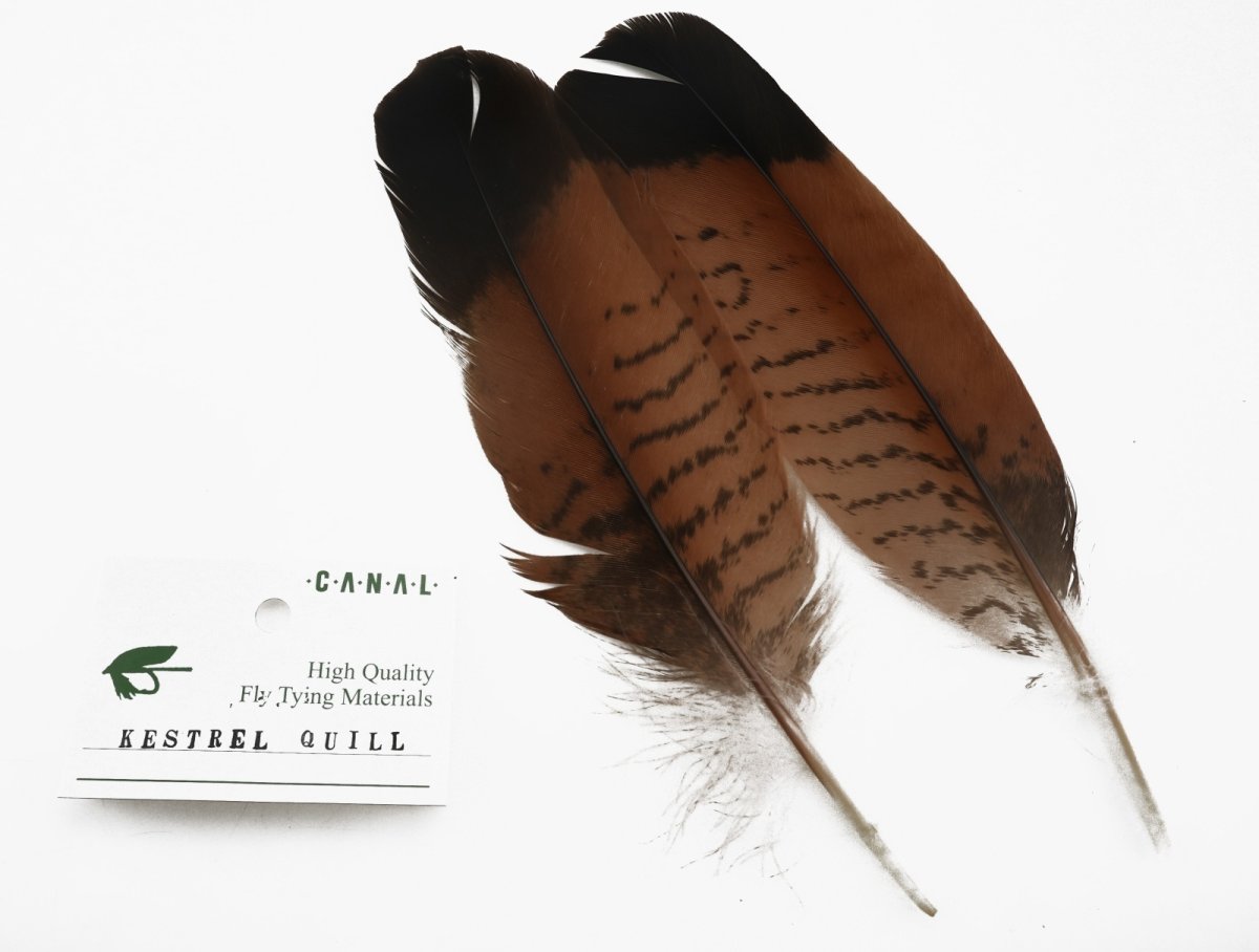 画像3: CANAL キャナル KESTREL クイル (3)