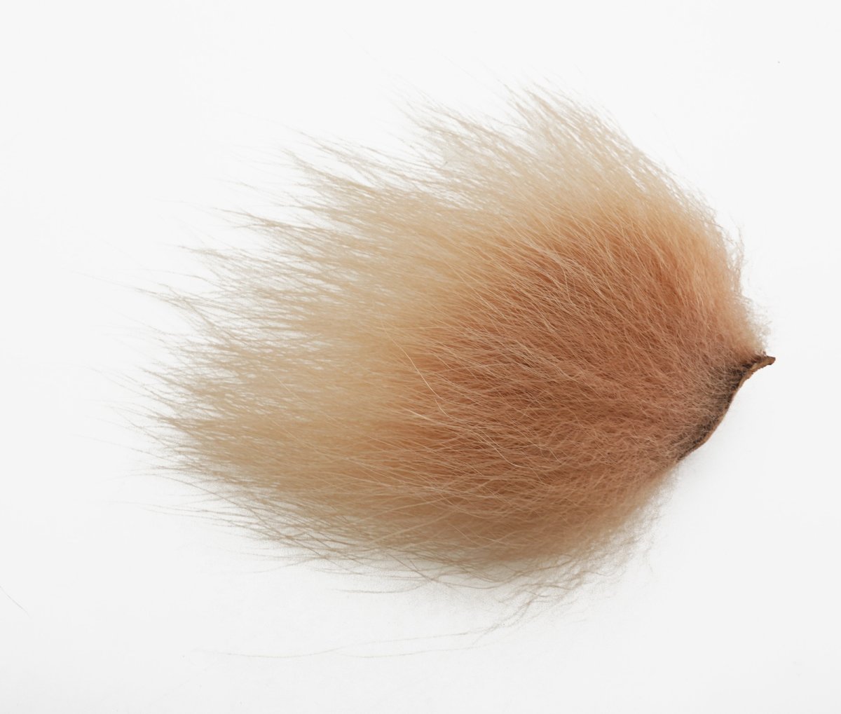 画像17: CANAL  キャナル ポーラベア 各色 (17)