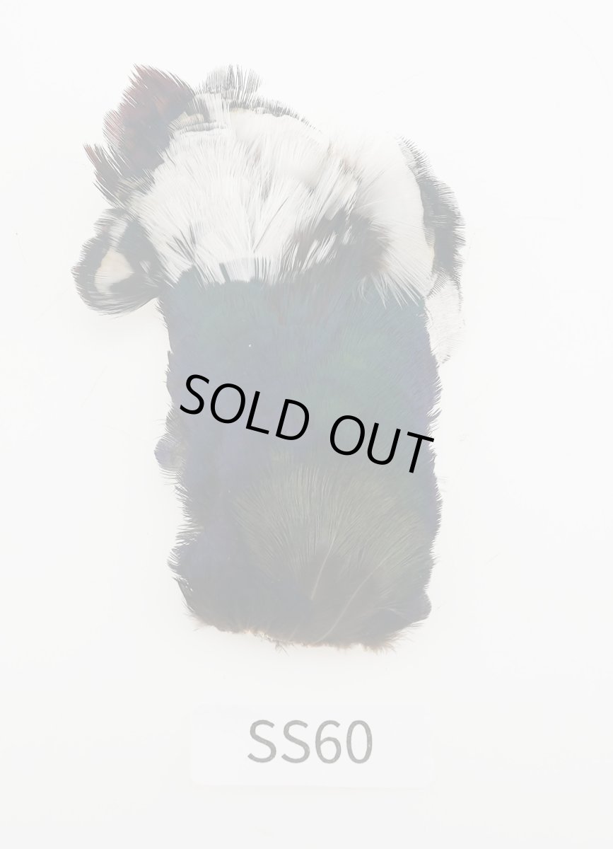 画像2: CANAL キャナル コックフェザント パッチ (2)