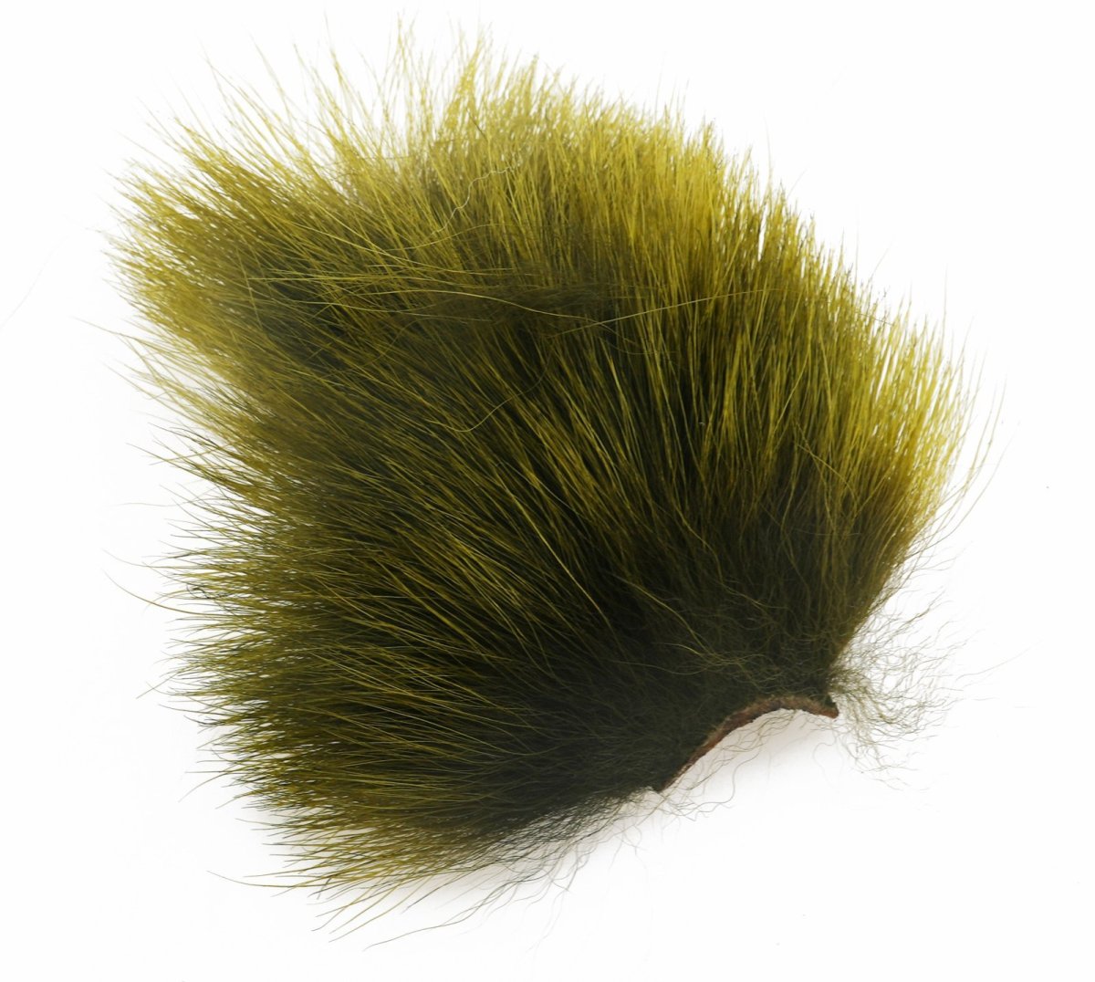 画像23: CANAL  キャナル ポーラベア 各色 (23)