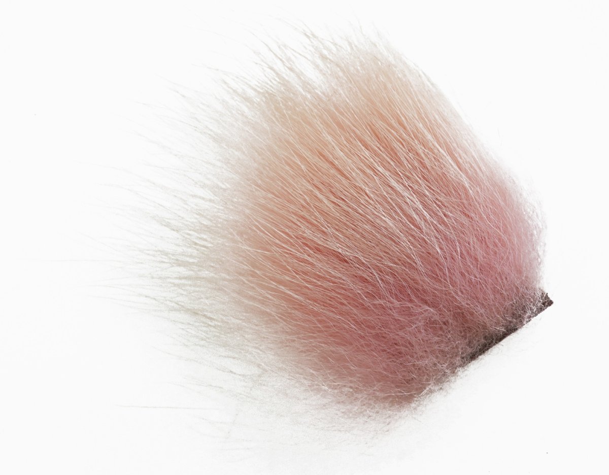 画像2: CANAL  キャナル ポーラベア 各色 (2)