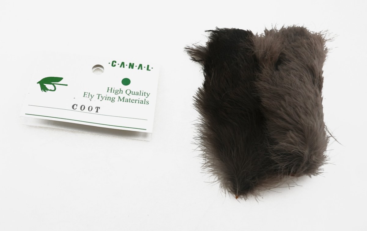 画像3: CANAL  キャナル　クート　Coot (3)