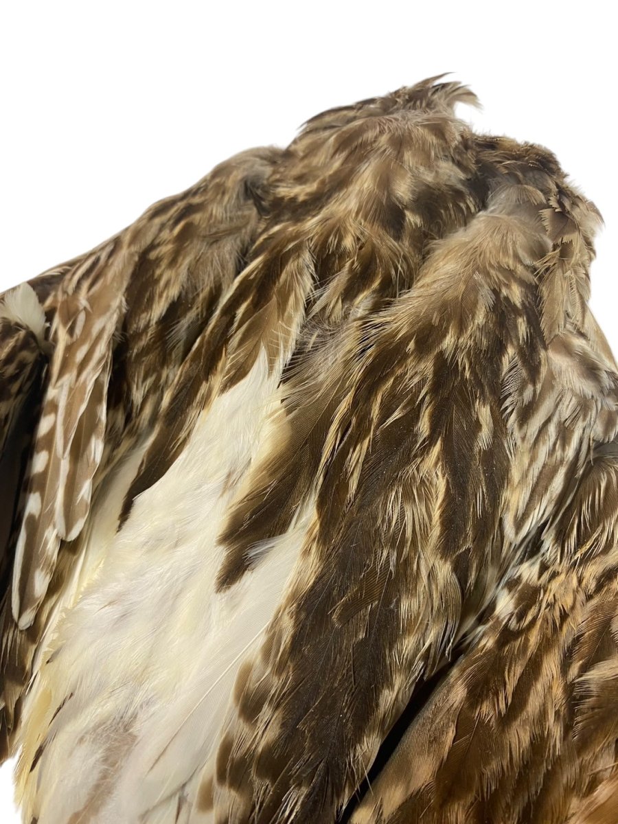 画像3: CANAL キャナル CURLEL (3)