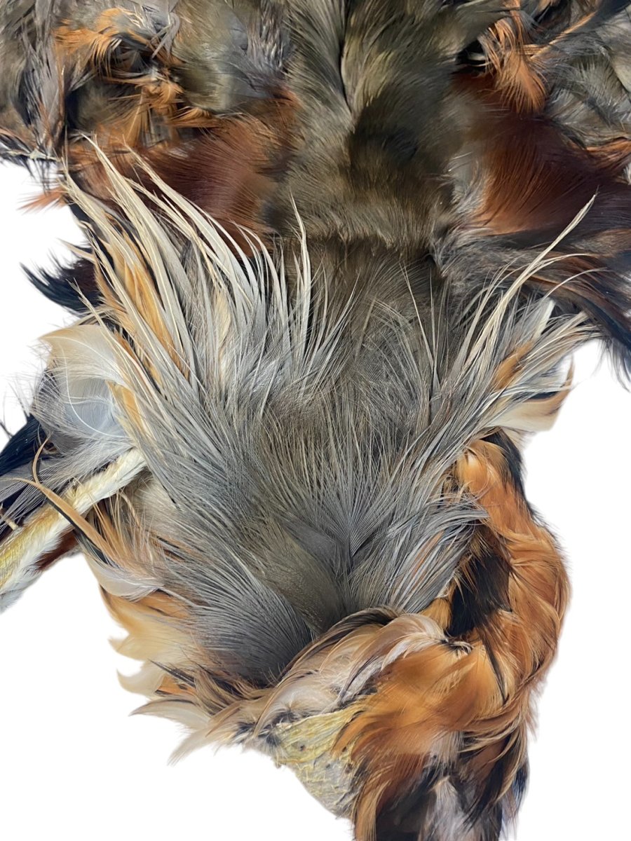 画像2: CANAL キャナル パープルヘロン コンプリート (2)