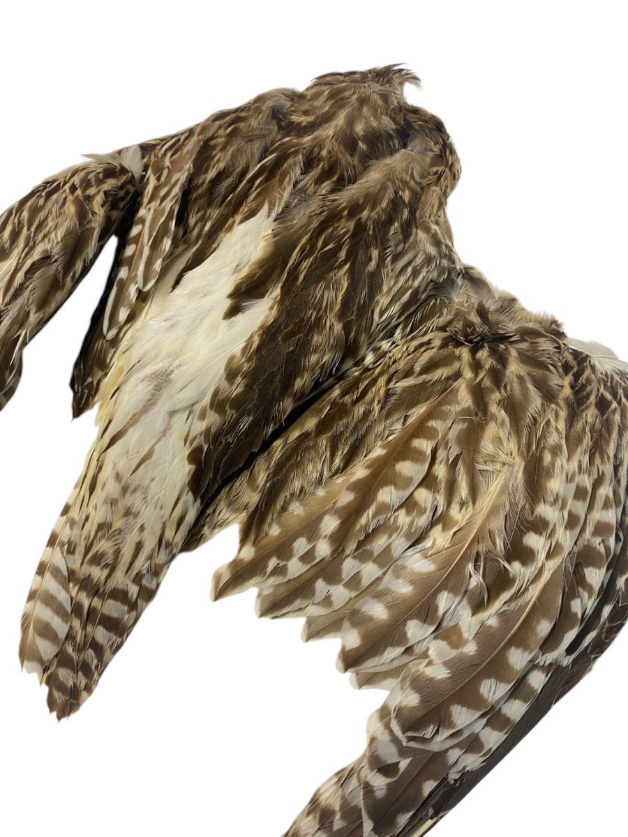 画像2: CANAL キャナル CURLEL (2)