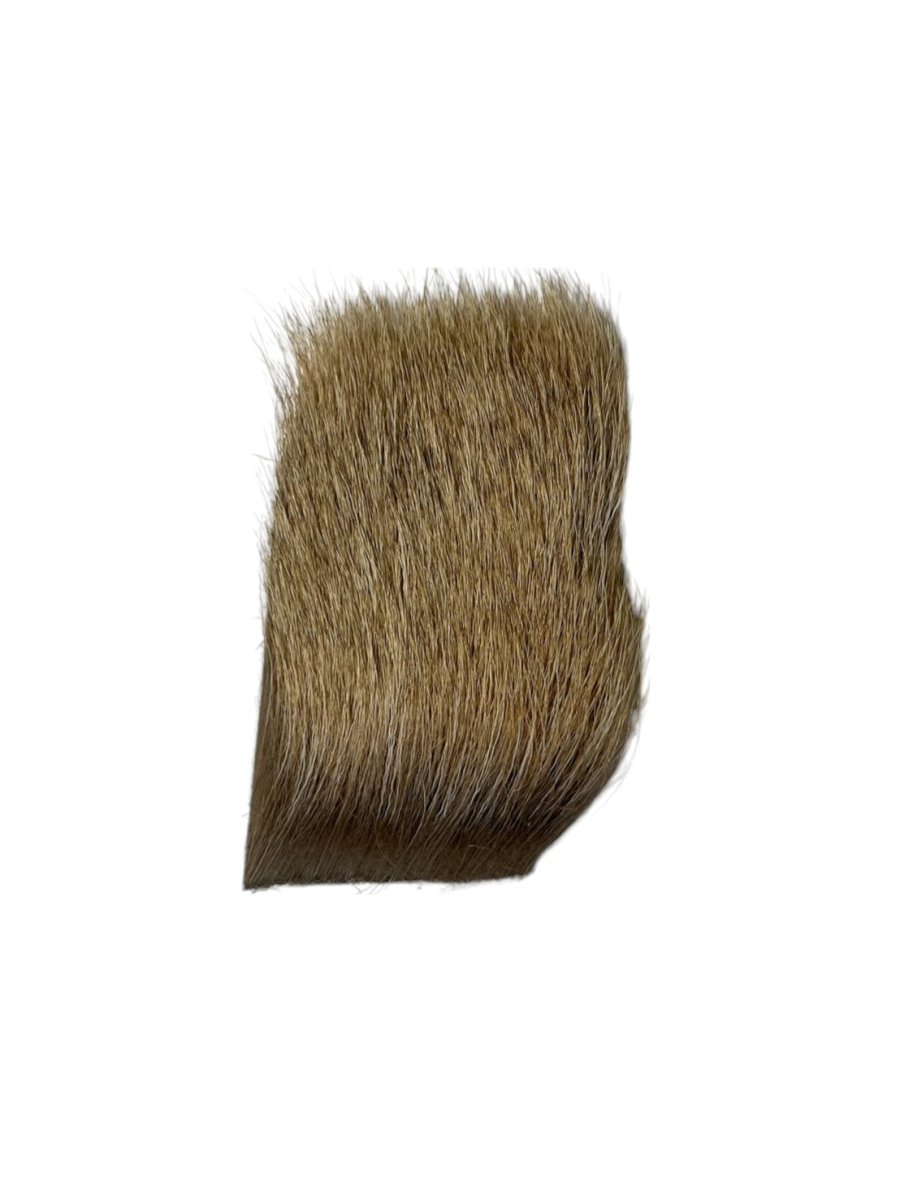 画像2: CANAL キャナル セレクトブルエルク ナチュラル (2)