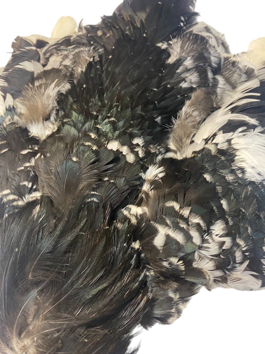 画像2: CANAL キャナル SPANGLED JAPANESE  BANTAM(チャボ) (2)