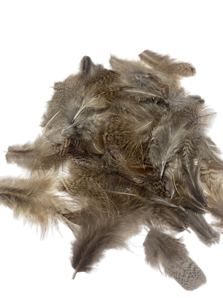 画像1: SWEETFISH hungarian partridge gray neck　ハンガリアンパートリッジ　ブラウン　スイートフィッシュ (1)