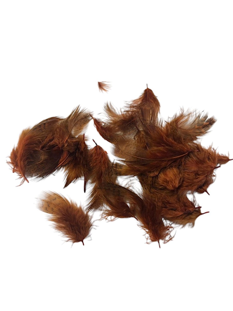 画像7: CANAL  キャナル　パートリッジ　ダイド　Partridge　 (7)