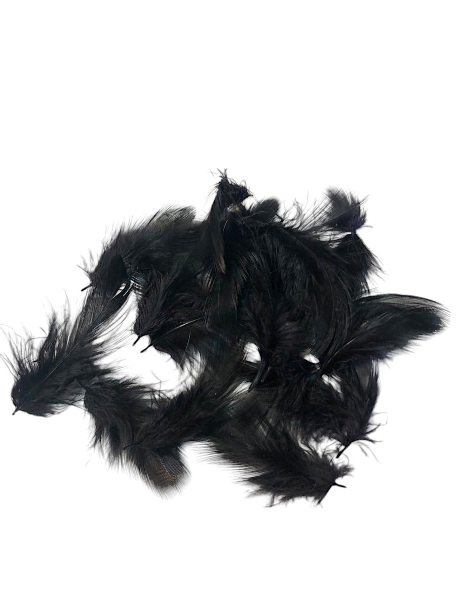 画像8: CANAL  キャナル　パートリッジ　ダイド　Partridge　 (8)