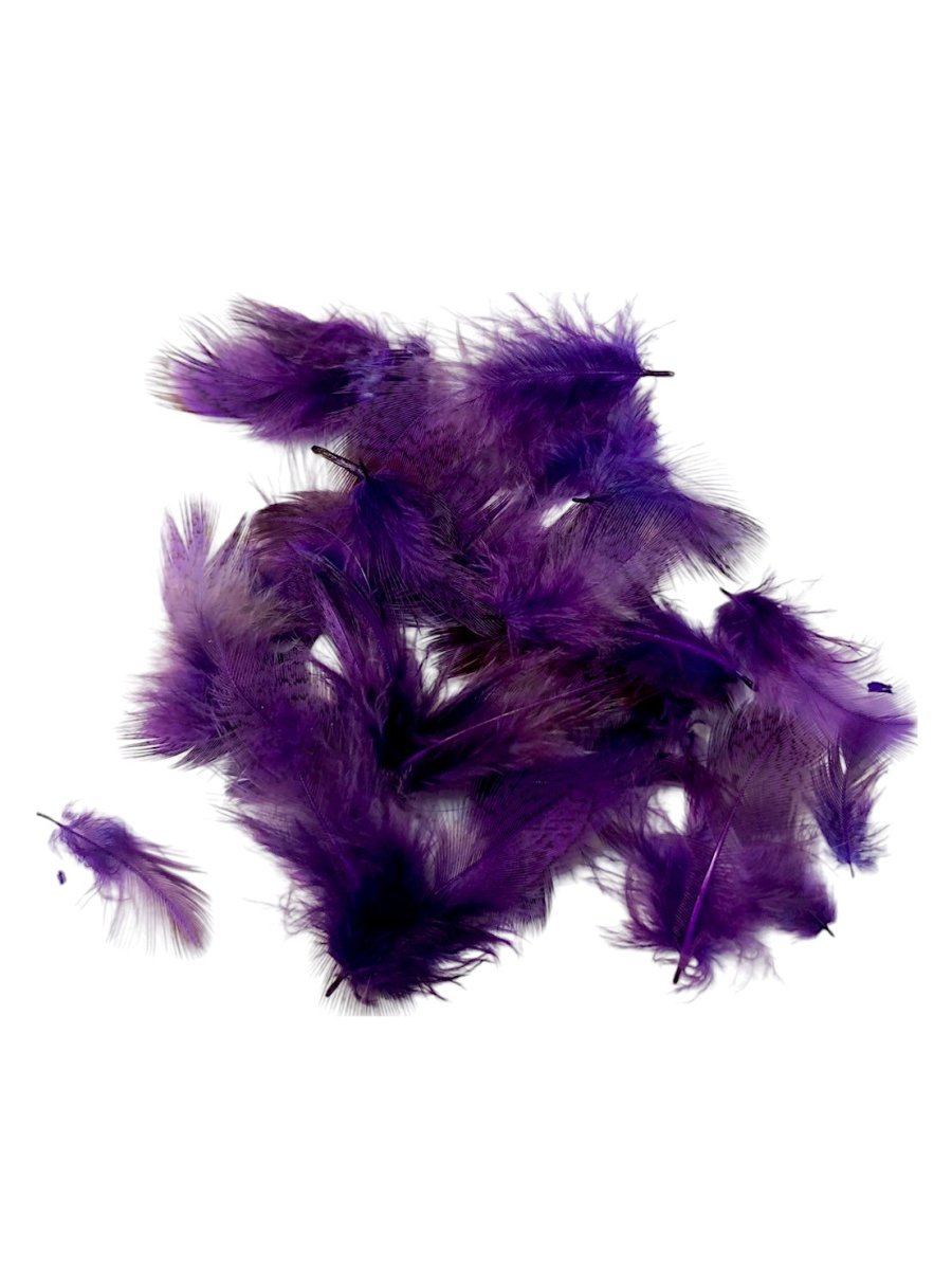 画像6: CANAL  キャナル　パートリッジ　ダイド　Partridge　 (6)