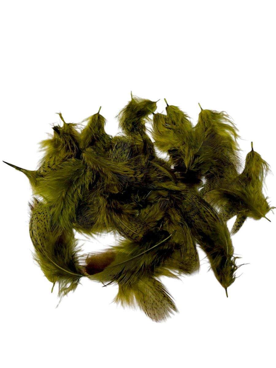 画像2: CANAL  キャナル　パートリッジ　ダイド　Partridge　 (2)