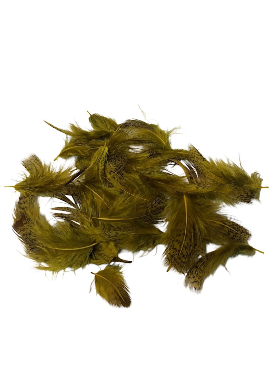 画像4: CANAL  キャナル　パートリッジ　ダイド　Partridge　 (4)