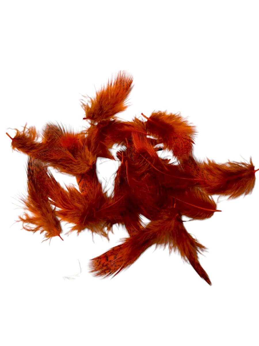 画像3: CANAL  キャナル　パートリッジ　ダイド　Partridge　 (3)