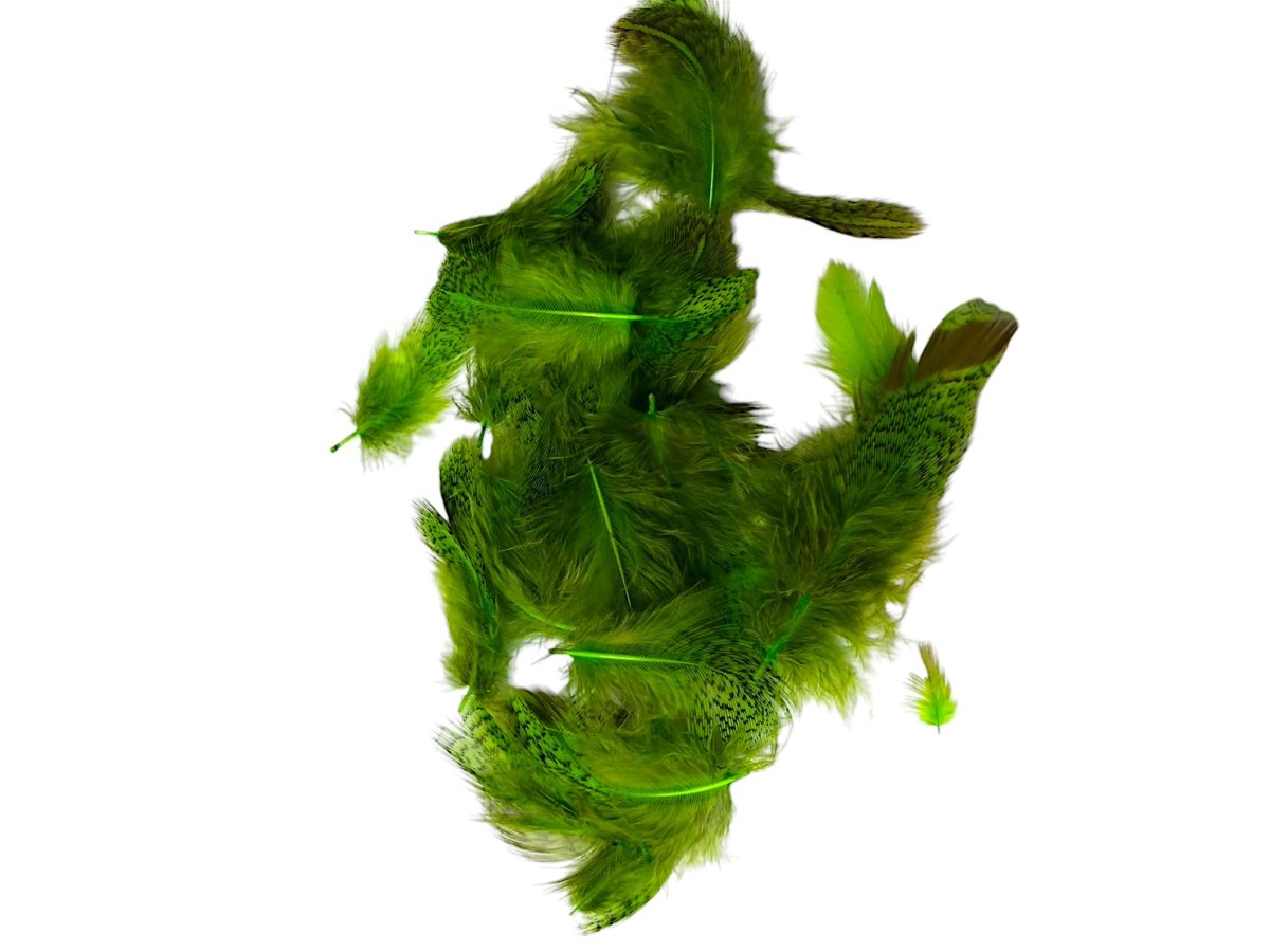 画像5: CANAL  キャナル　パートリッジ　ダイド　Partridge　 (5)