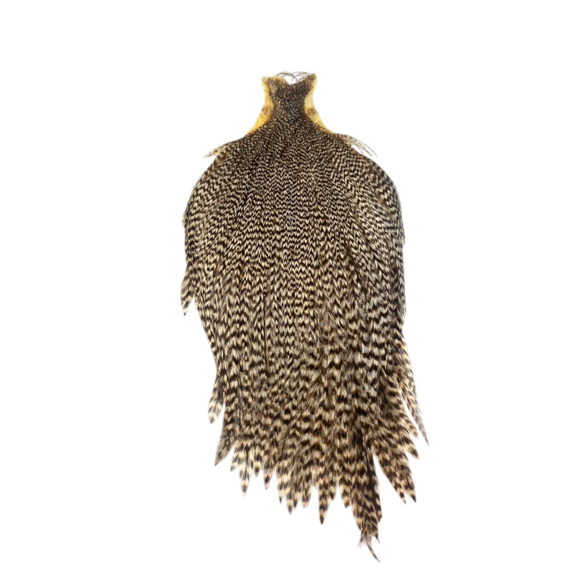 画像3: KEOUGH コックネック フルサイズ グリズリーダン #2 K6  キーオ  (3)